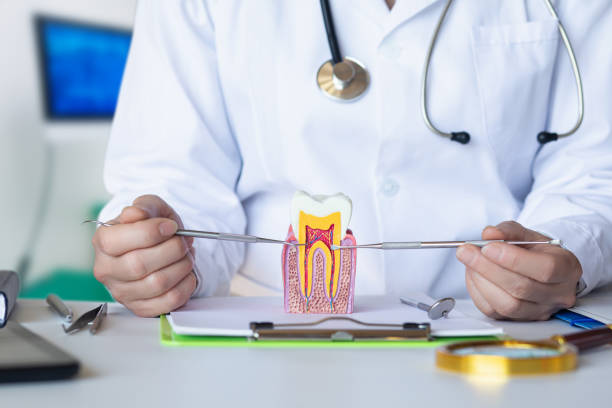 Best Emergency Treatment for Dental Infections or Abscesses in , TX